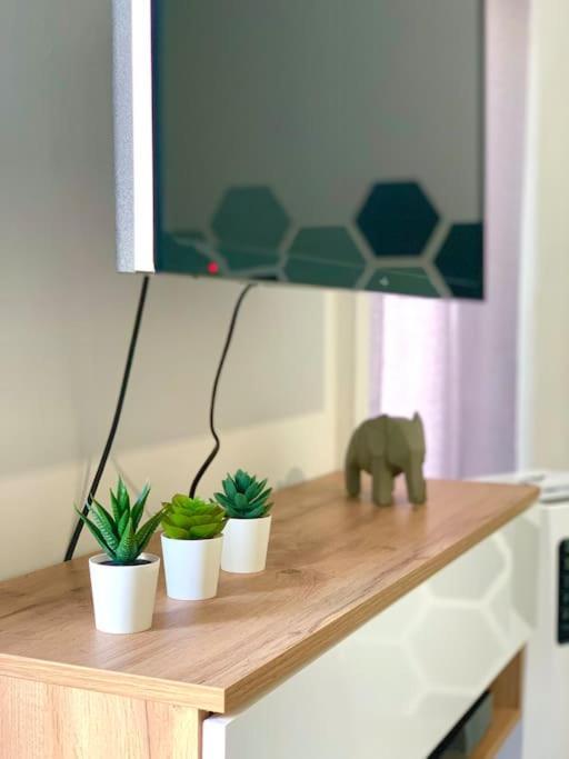 Esprit Cosy Au Centre Historique Apartman Toulon Kültér fotó